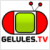 WebTv de Savoie